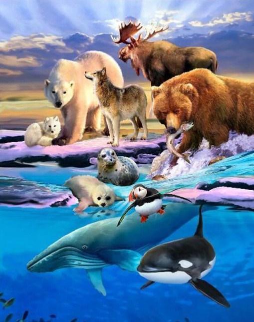 Alaska Tiere Diamond Painting Kit - Diamond Painting