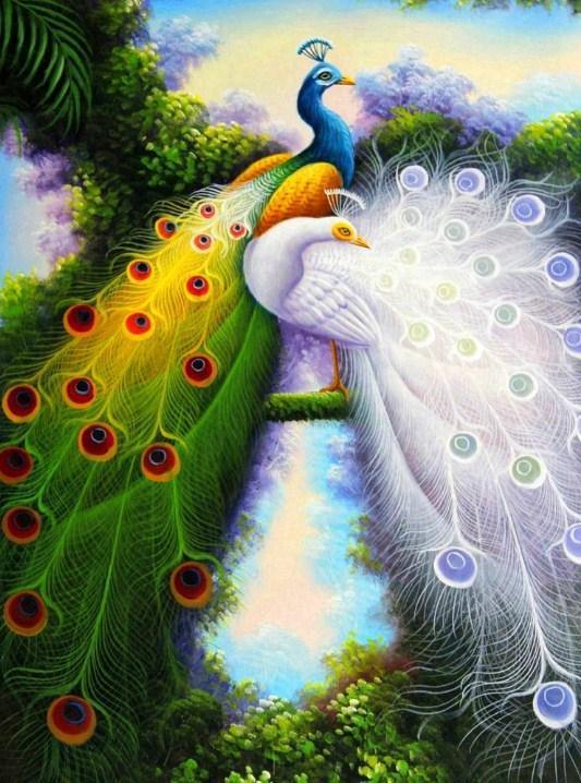 Attraktive Pfauen- Diamond Painting Kit - Diamond Painting