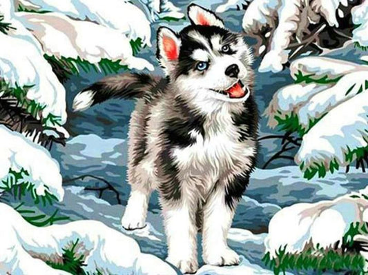 Schöner Husky - Paint by Diamonds - Diamond Painting