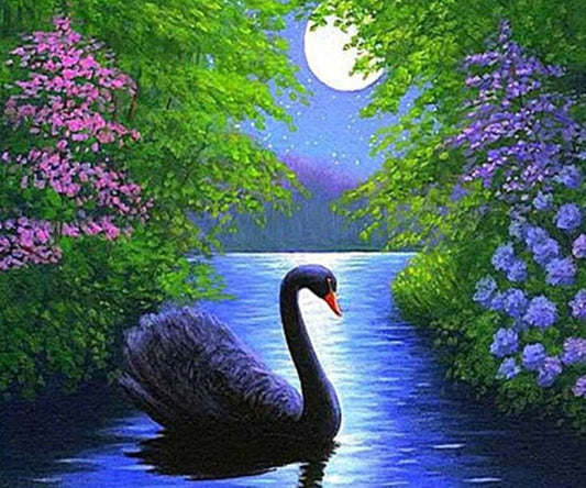 Schwarzer Schwan im Wasser - Diamond Painting