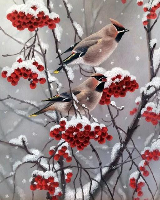 Bohemian waxwing Diamond Painting Kit - Diamond Painting
