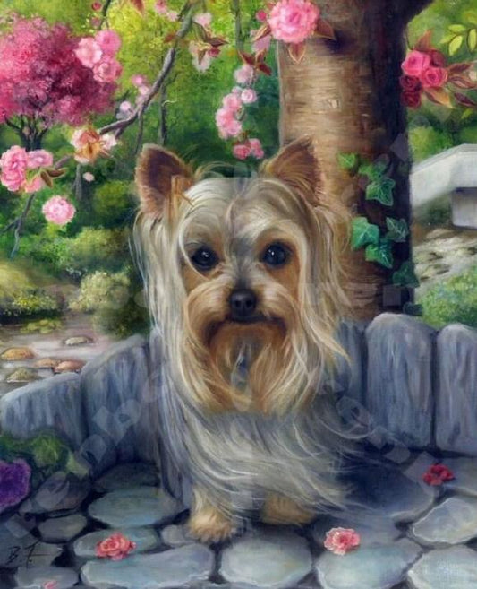 Süßer Yorkshire Terrier Diamond Painting - Diamond Painting