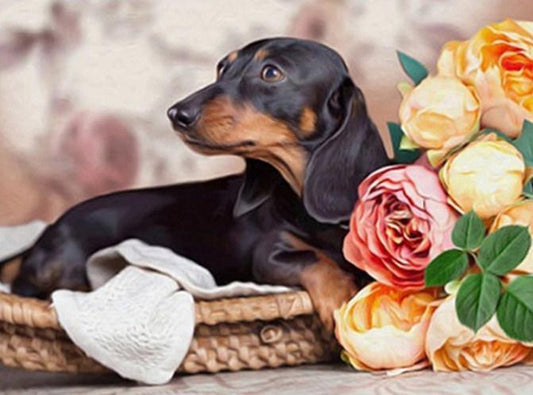 Dackel & Blumen Diamond Painting - Diamond Painting
