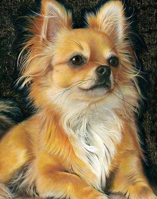 Chihuahua Diamond Painting - Diamond Painting