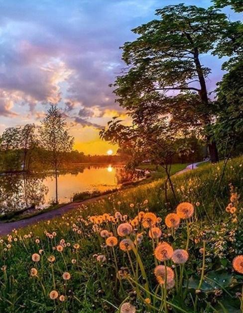 Glücklicher Morgen Diamond Painting Kit - Diamond Painting