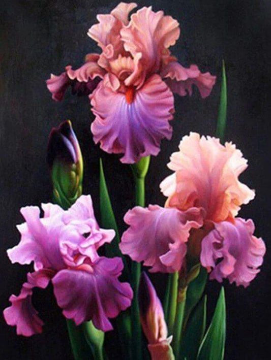 Iris Diamond Painting Kit - Diamond Painting