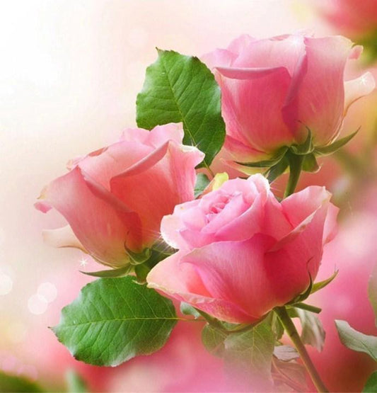 Lovely Pink Roses - Diamond Painting Kit - Diamond Painting
