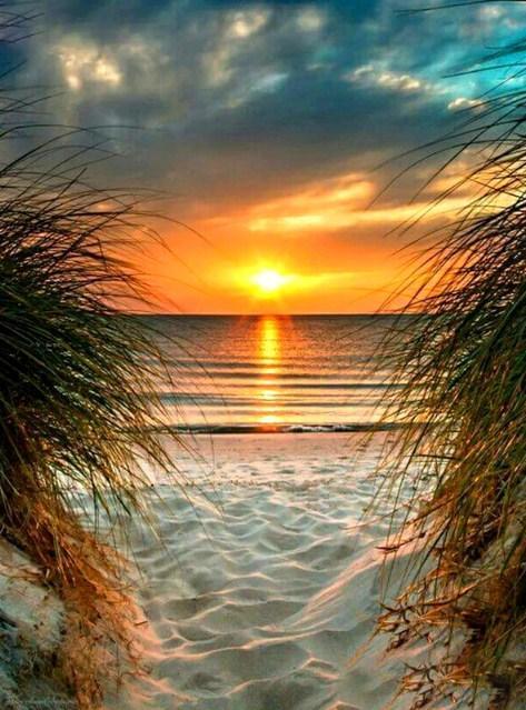 Peaceful Sunset Diamond Painting kit - Diamond Painting