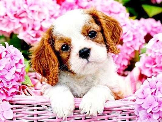 Welpe im Blumenkorb - Diamond Painting