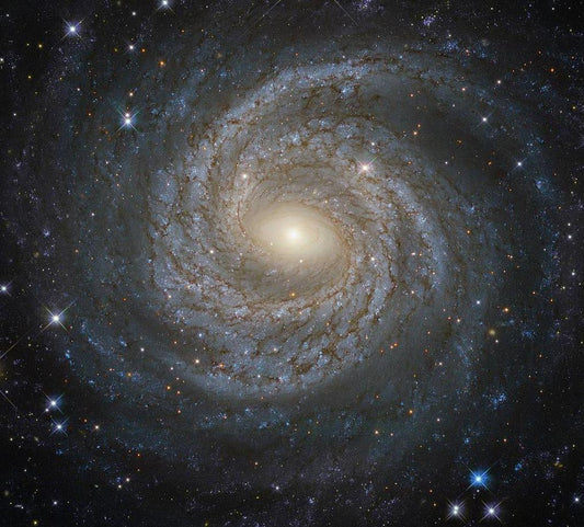 Spiral Schneeflocke - Diamond Painting