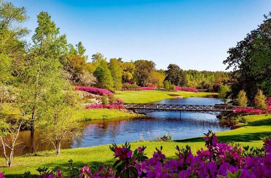 Frühlingspark Ansicht Diamond Painting - Diamond Painting