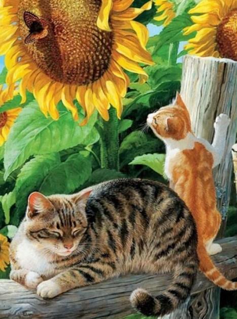 Sonnenblumen & Katzen Diamond Painting - Diamond Painting