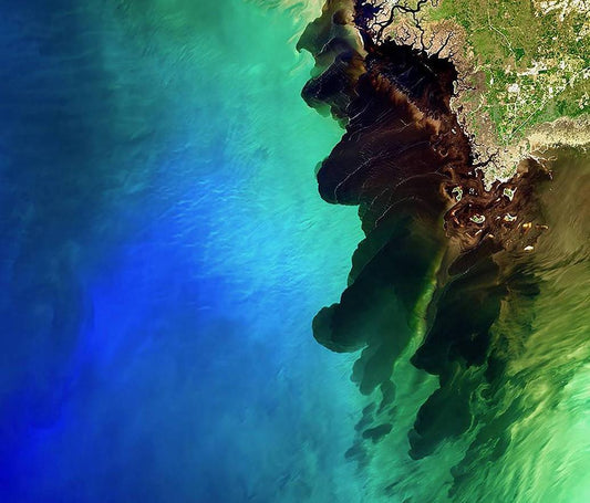 Schwarzwasserfluss Suwannee trifft auf das Meer - Diamond Painting