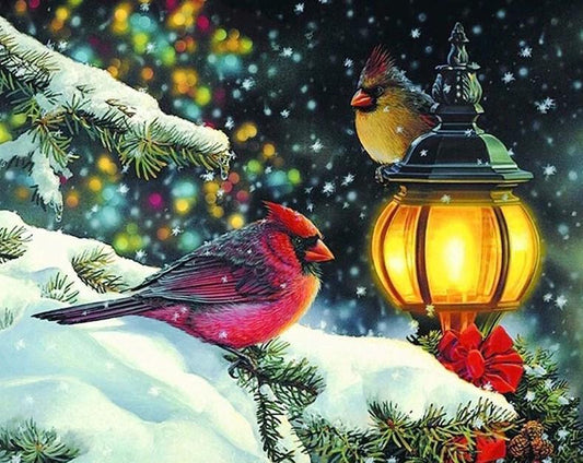 Winter Vögel Diamond Painting Kit - Diamond Painting