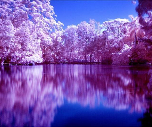 Erstaunlicher Seeblick DIY Diamond Painting - Diamond Painting