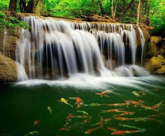Wasserfall & Fisch DIY Diamond Painting - Diamond Painting