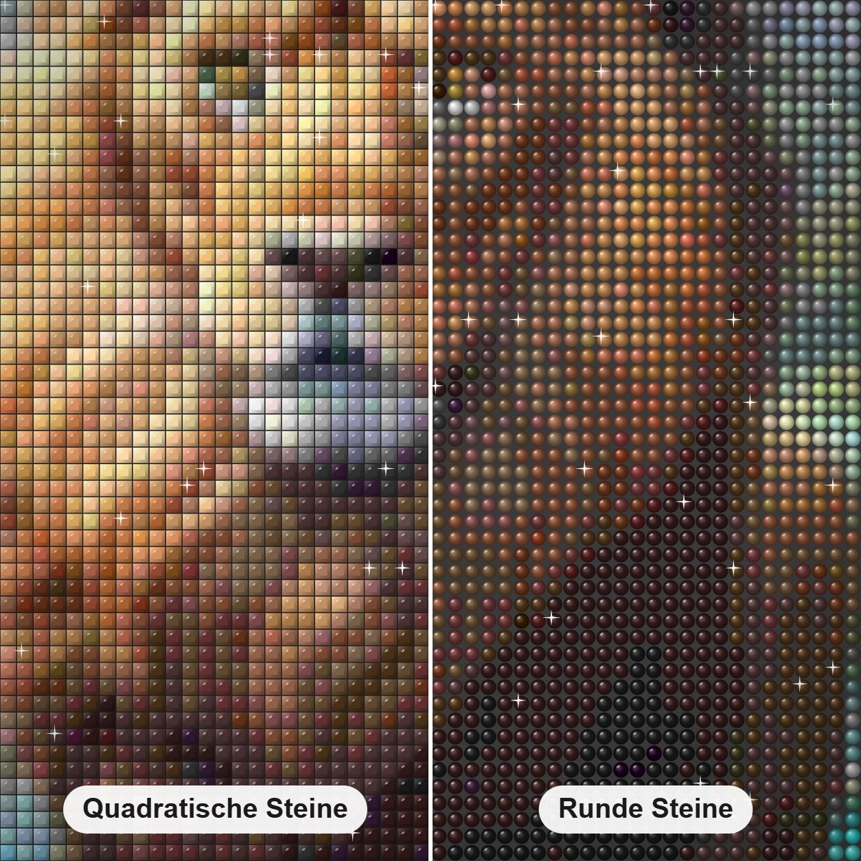 Entzückender Löwe Diamond Painting Nahaufnahme mit quadratischen und runden Steinen