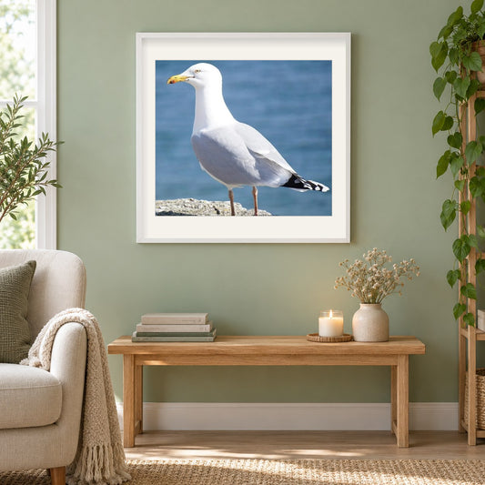 Albatros als gerahmtes Diamond Painting im Wohnzimmer
