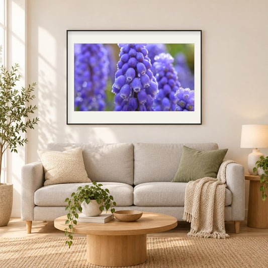 Blaue Muscari Blumen als gerahmtes Diamond Painting im Wohnzimmer