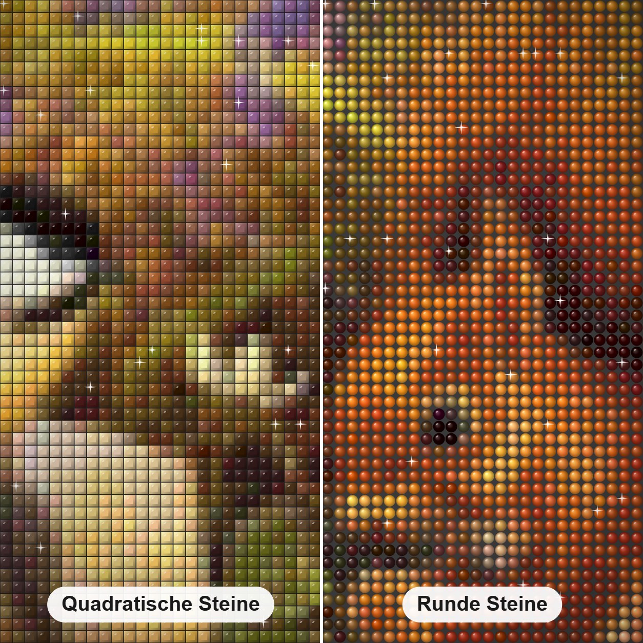 Eichhörnchen & Spatz Diamond Painting Nahaufnahme mit quadratischen und runden Steinen