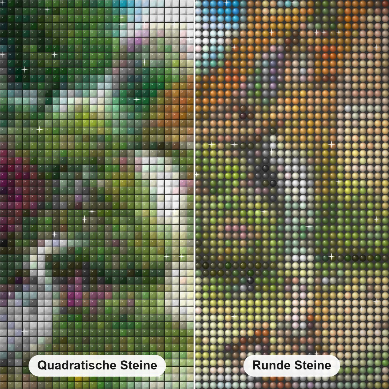 Fauna und Flora Diamond Painting Nahaufnahme mit quadratischen und runden Steinen