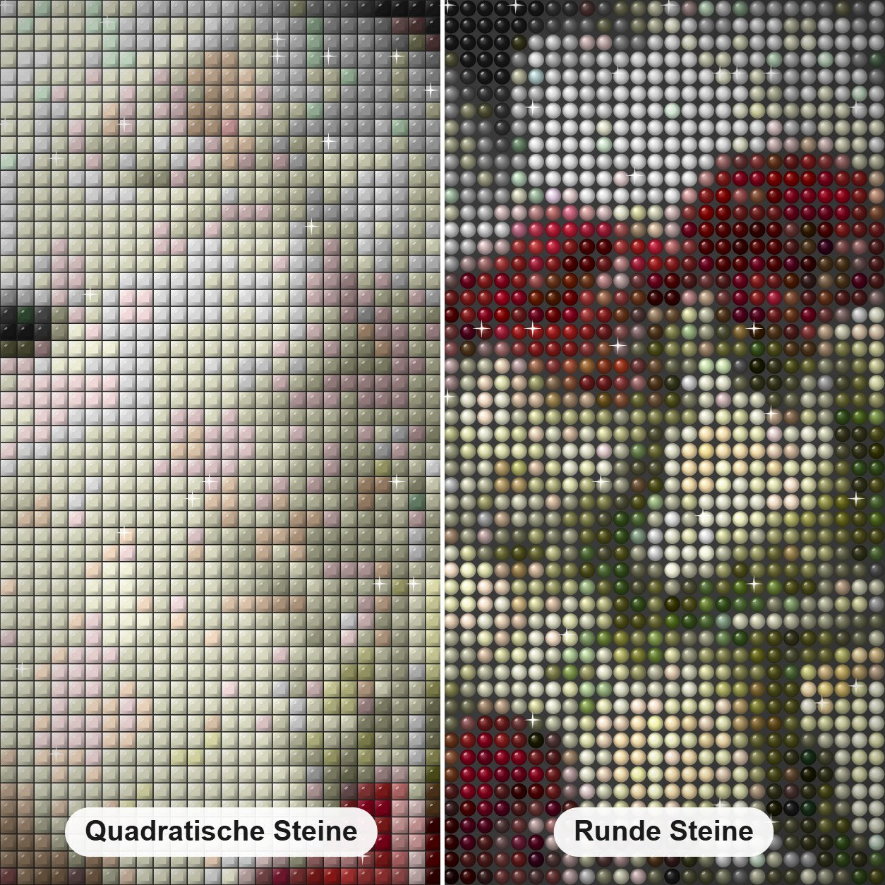 Flauschige weiße Katze und Blumen Diamond Painting Nahaufnahme mit quadratischen und runden Steinen