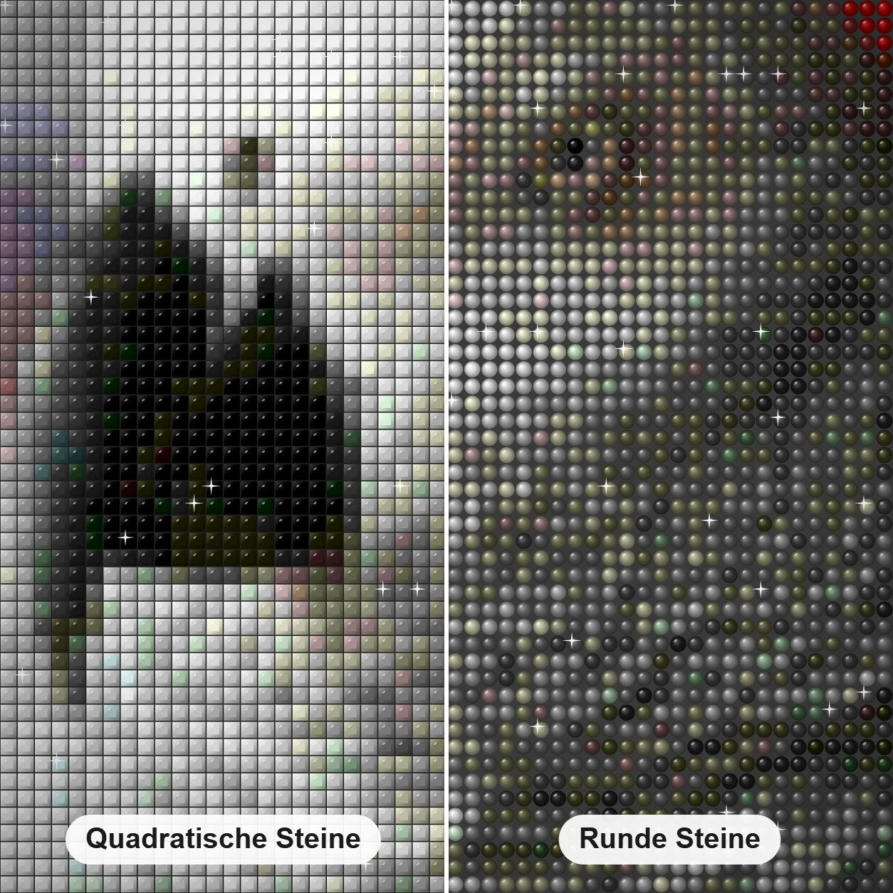 grauPapagei Diamond Painting Nahaufnahme mit quadratischen und runden Steinen