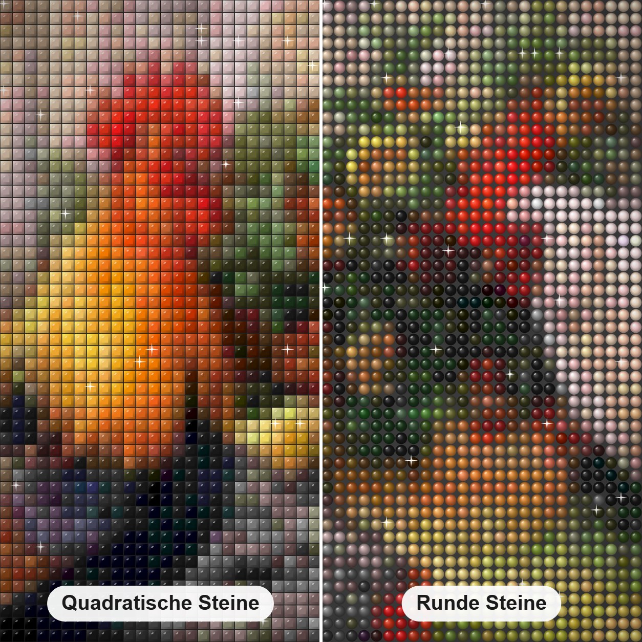 Hühner auf dem Bauernhof Diamond Painting Nahaufnahme mit quadratischen und runden Steinen