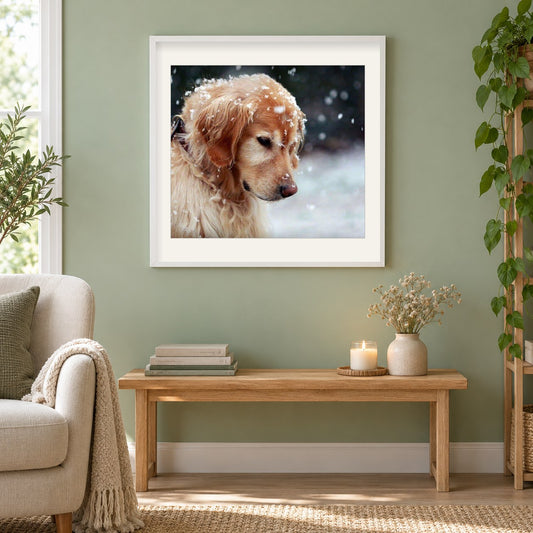 Hund im Schnee als gerahmtes Diamond Painting im Wohnzimmer
