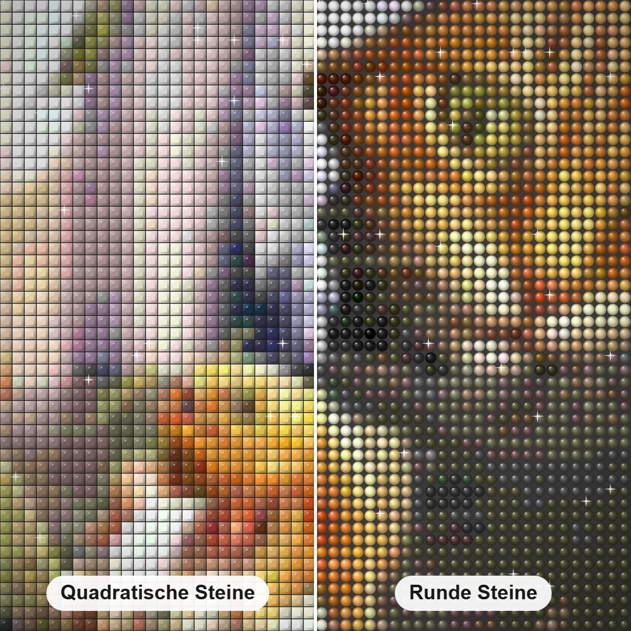 Katze ist bereit angreifen Diamond Painting Nahaufnahme mit quadratischen und runden Steinen