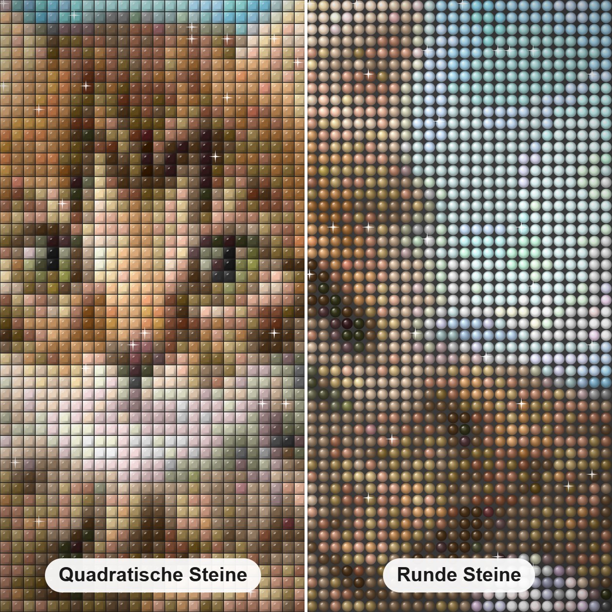 Katze & weiße Gänseblümchen Diamond Painting Nahaufnahme mit quadratischen und runden Steinen
