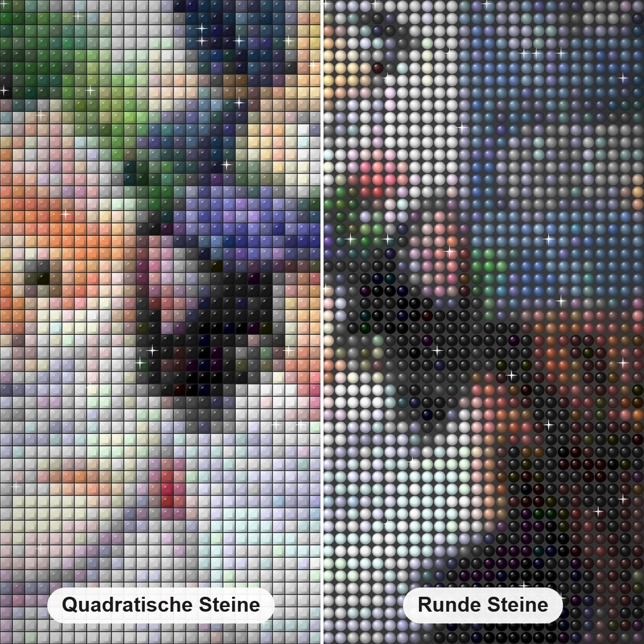 Katzen & Vögel DIY Diamond Paintings Diamond Painting Nahaufnahme mit quadratischen und runden Steinen