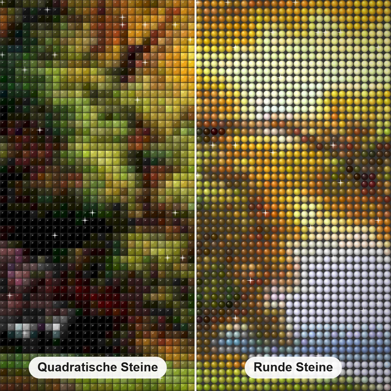 Kraniche im See Diamond Painting Nahaufnahme mit quadratischen und runden Steinen