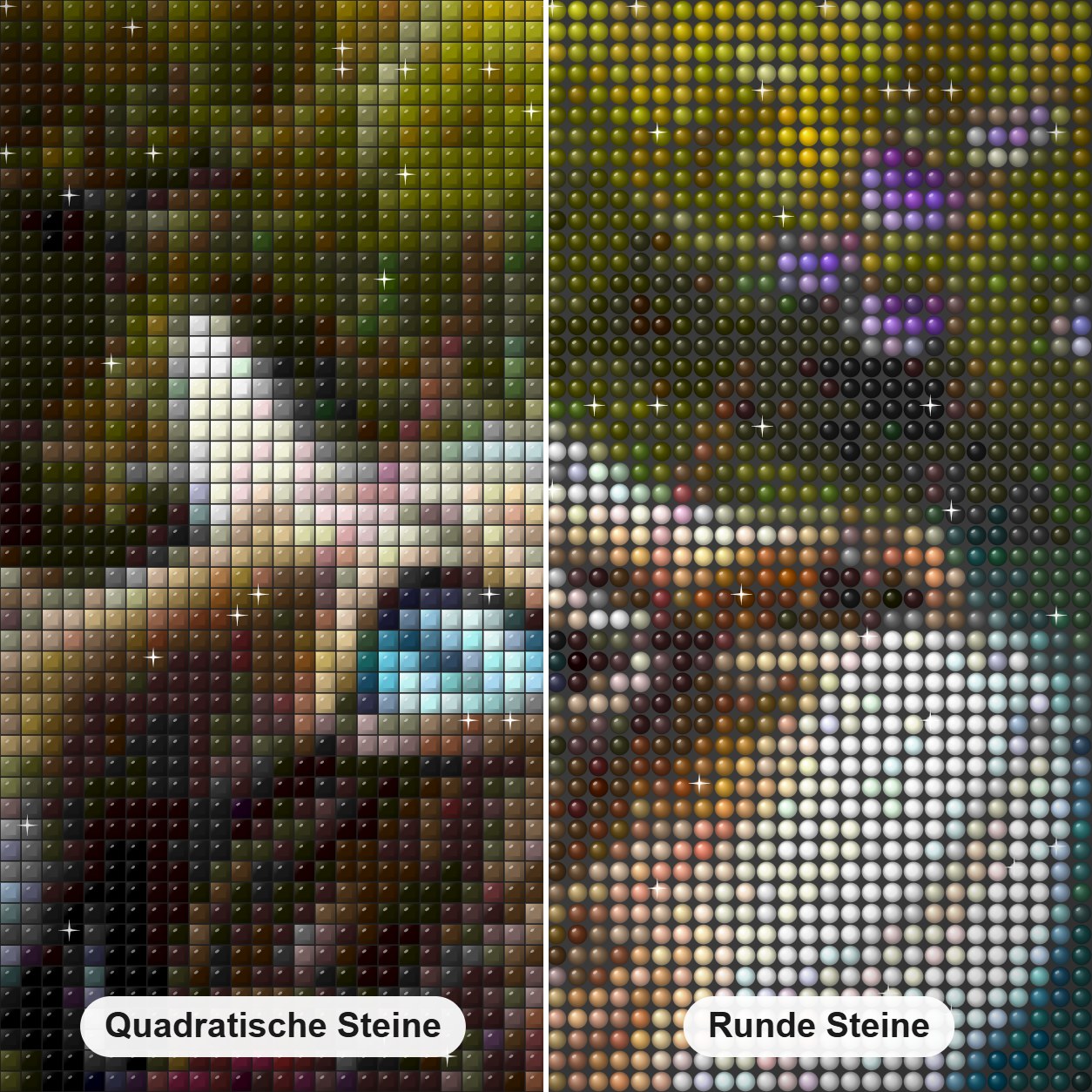Niedliche Katze & Blütenblätter Diamond Painting Nahaufnahme mit quadratischen und runden Steinen