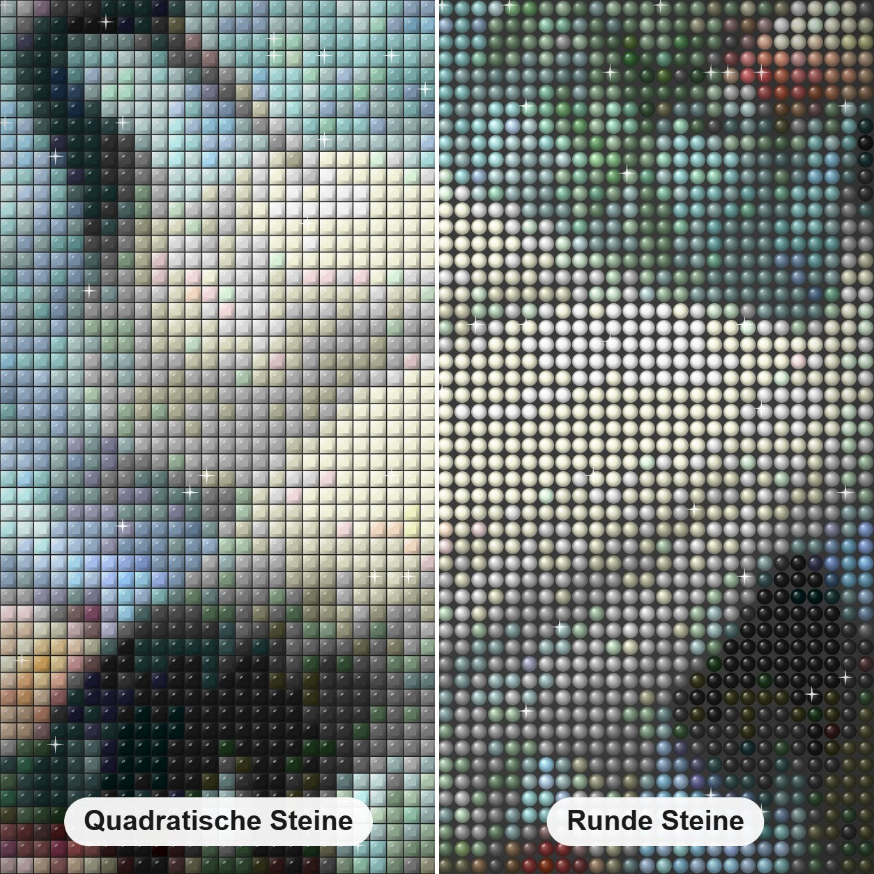 Roter gekrönter Kranich Diamond Painting Nahaufnahme mit quadratischen und runden Steinen