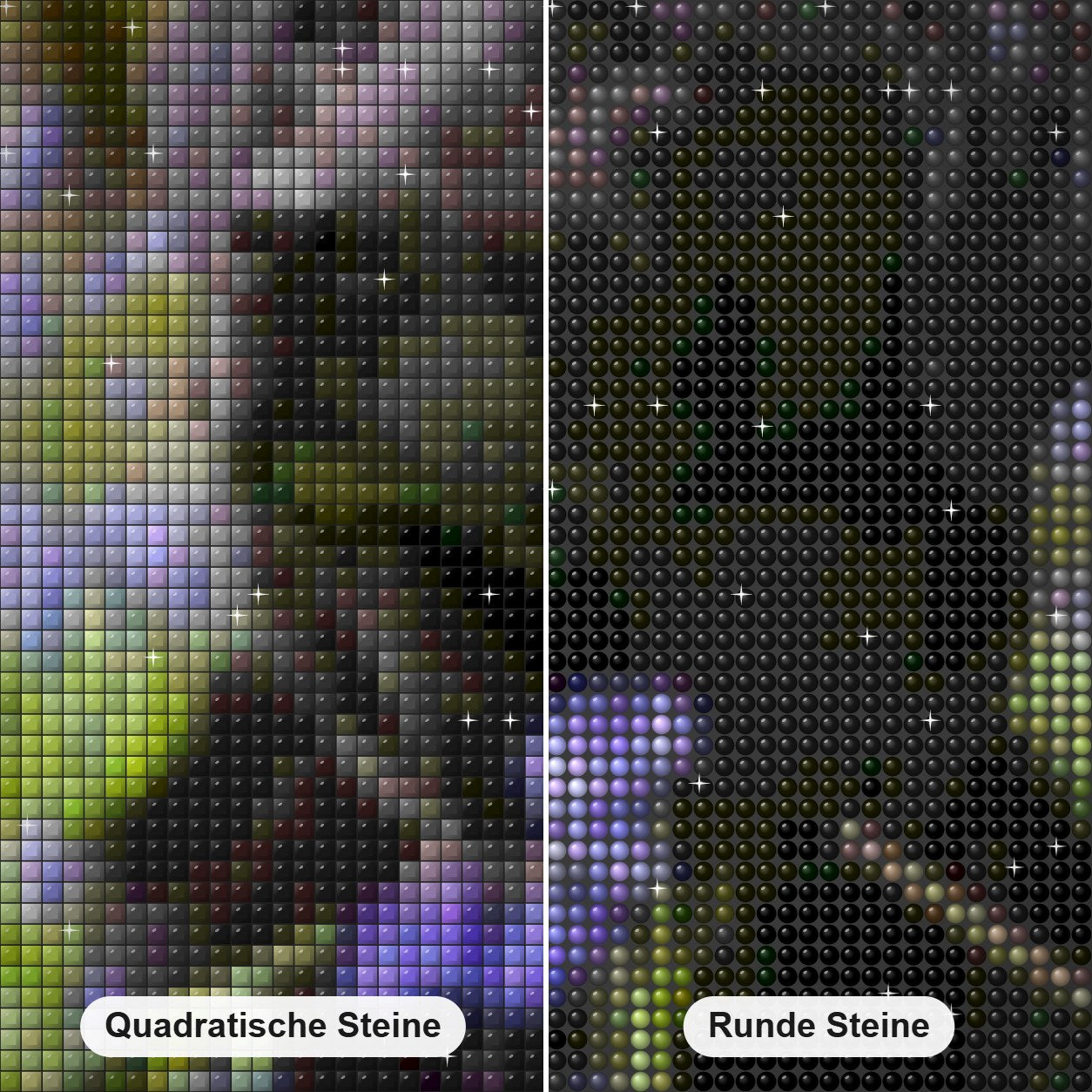 Schwarzer Labrador in grünen Feldern Diamond Painting Nahaufnahme mit quadratischen und runden Steinen