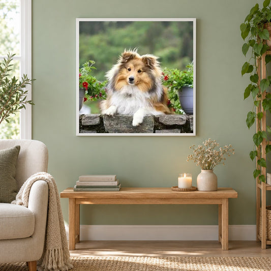 Sheltie Schilderijen als gerahmtes Diamond Painting im Wohnzimmer