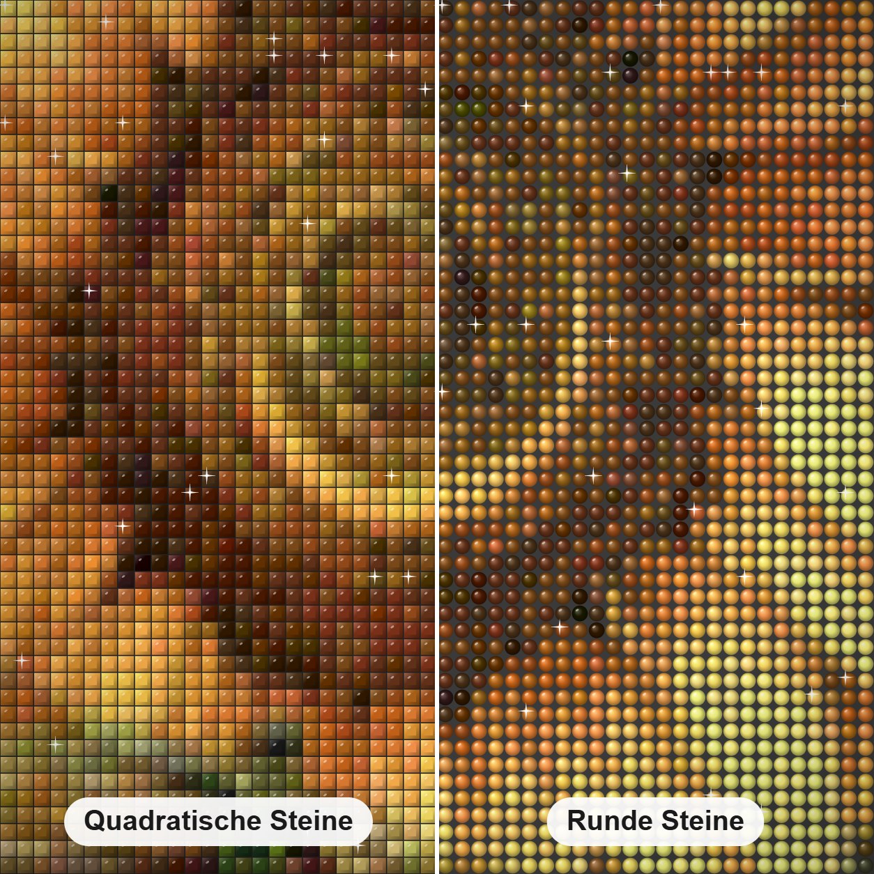 Sonnenblume und Libelle Diamond Painting Nahaufnahme mit quadratischen und runden Steinen