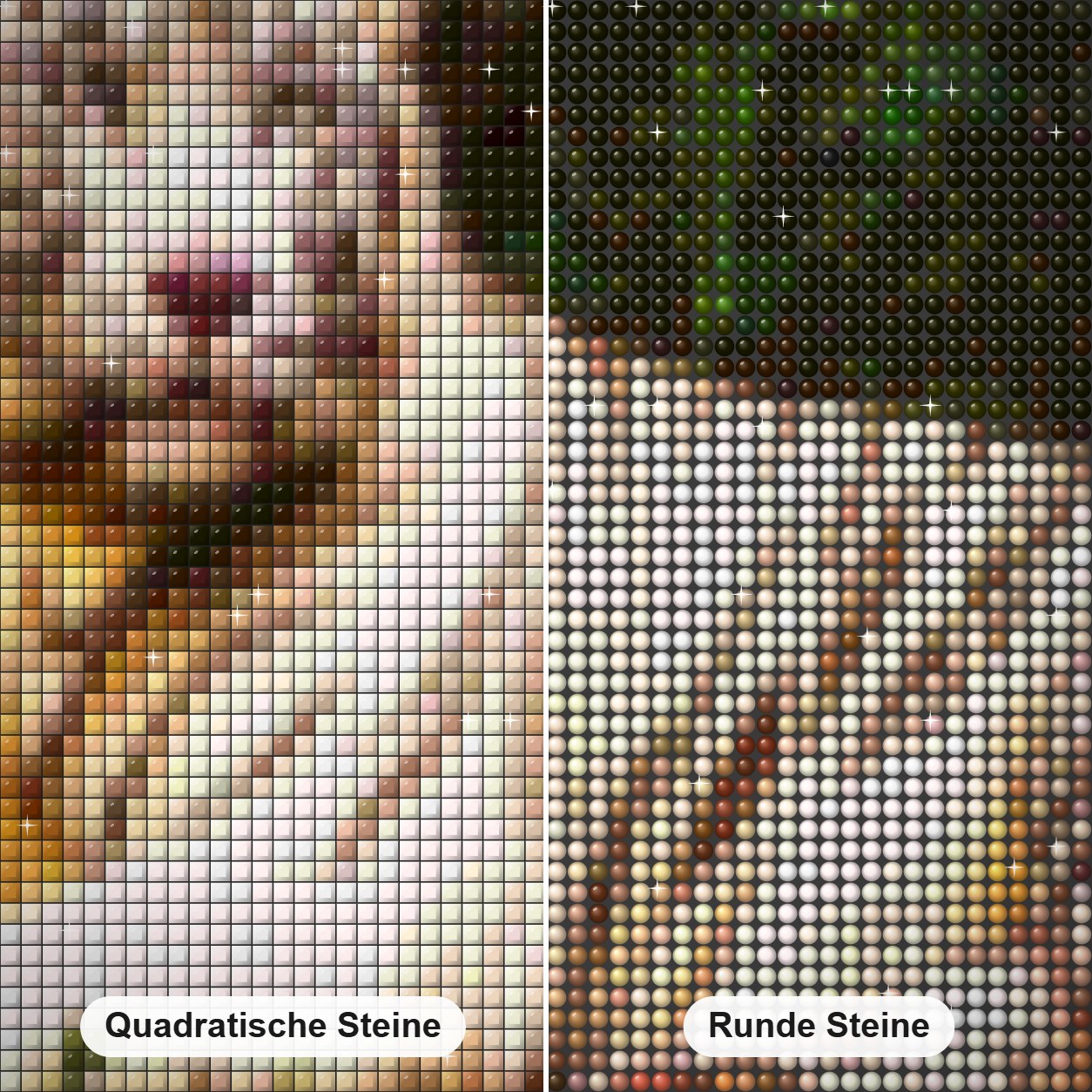 Weißes Tier Diamond Painting Nahaufnahme mit quadratischen und runden Steinen