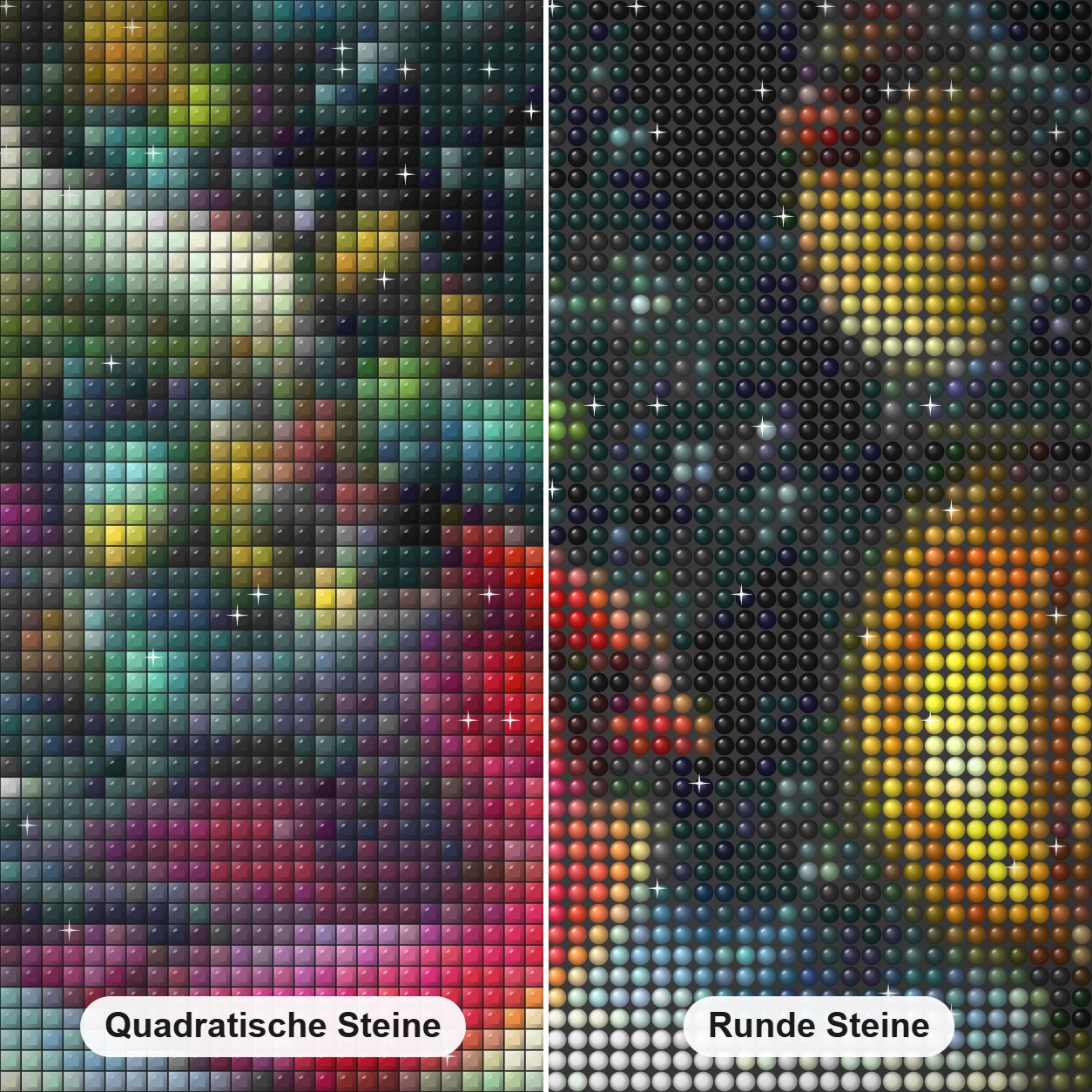 Winter Vögel Diamond Painting Nahaufnahme mit quadratischen und runden Steinen