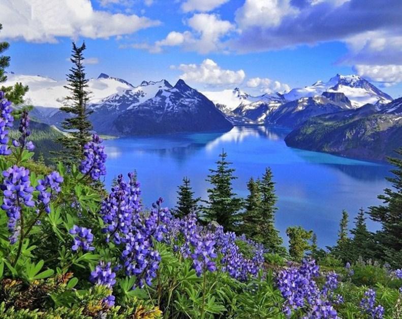 Erstaunliche Aussicht auf die Berge und blaue Blumen - Diamond Painting