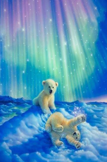 Baby Bären & Aurora Lichter - Diamond Painting