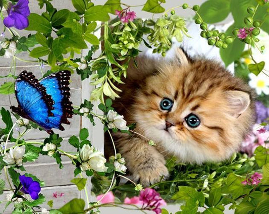 Schöne Katze und Schmetterling - Diamond Painting