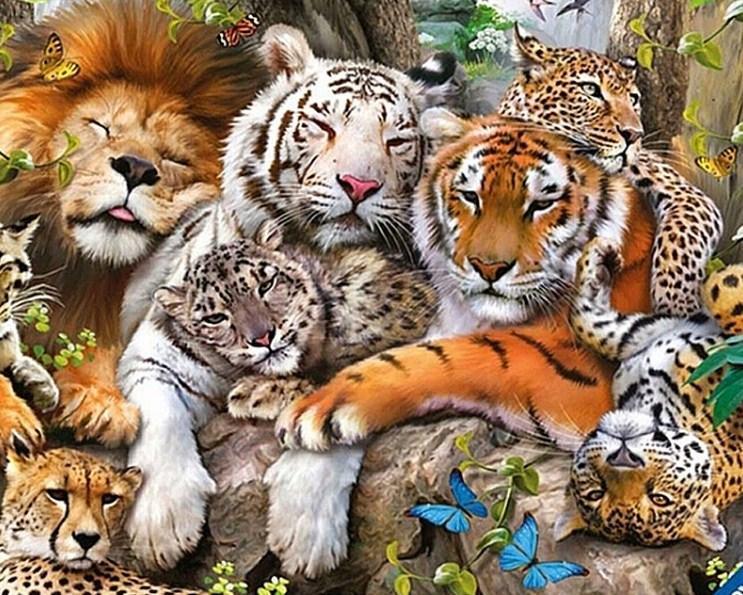 Rassen von Großkatzen Diamond Painting - Diamond Painting