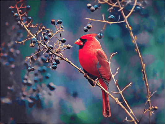 Kardinal und Beeren - Kunst des Denise Dundon - Diamond Painting