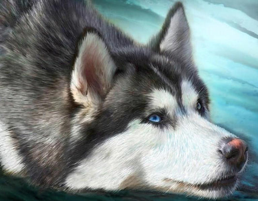 Netter Husky - Farbe durch Diamanten - Diamond Painting