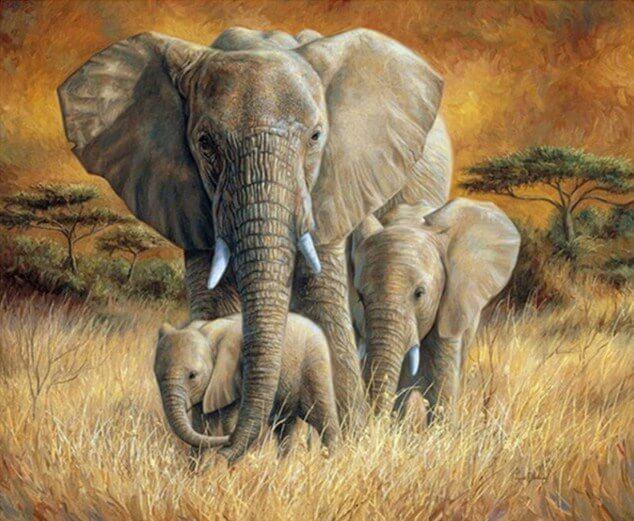Elefantenfamilie im Wald - Diamond Painting