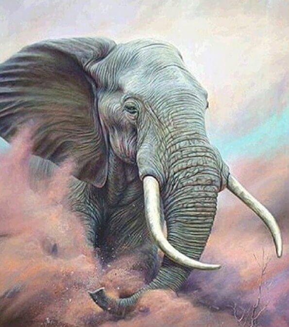 Elefant mit großen Zähnen - Diamond Painting
