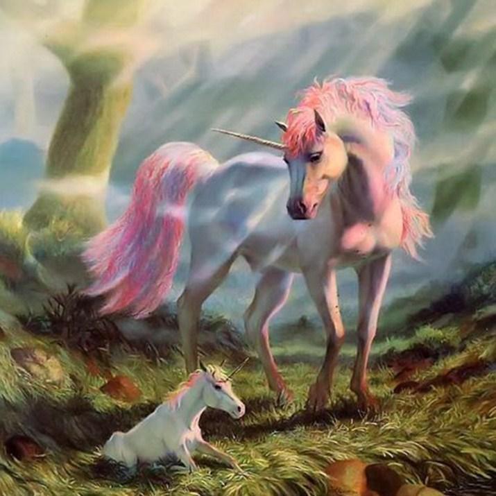 Fantasie Einhorn Malerei Kit - Diamond Painting