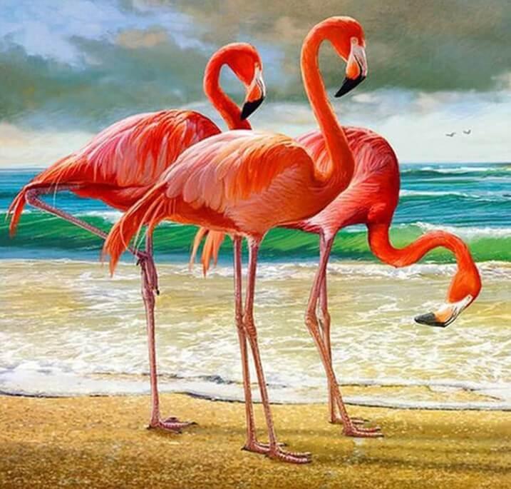 Flamingos am Strand - Diamond Painting